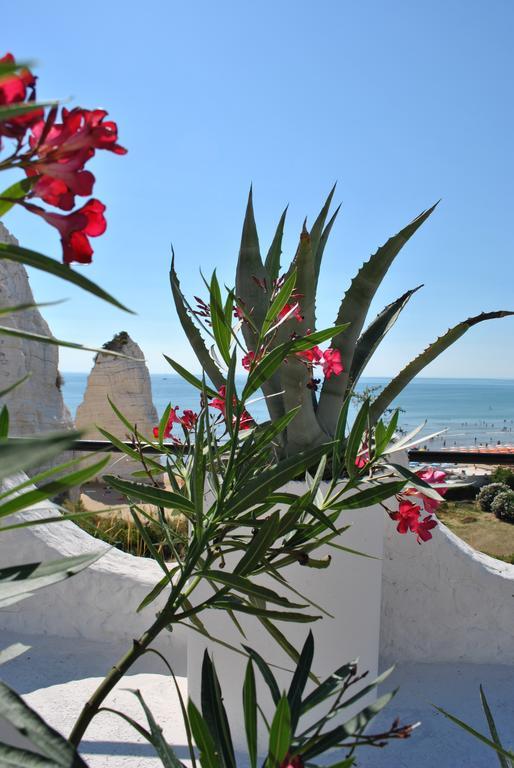 Hotel Falcone Vieste Extérieur photo